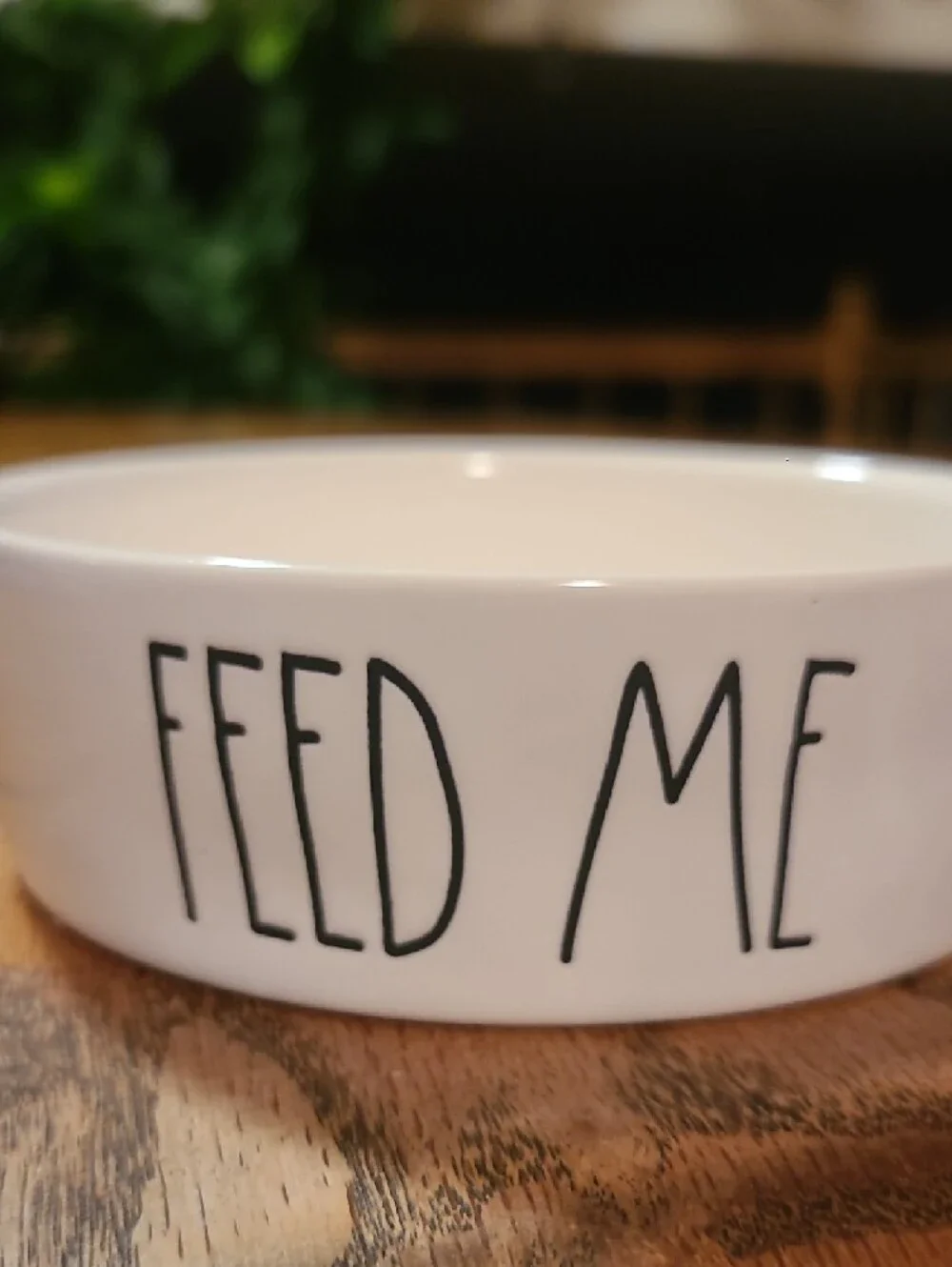 White Ceramic 'FEED ME' Pet Bowl